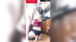 E rể Bóp Vú Tụt quần Chị dâu Trong bếp, Được chị dâu Bú Cu Sục Cặc cho djt nhau