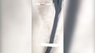 Em Teen HS Mặt Dâm Đãng, Trợn Máy Nghịch Bút Bi chọc Lồn Thủ dâm