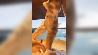 Em gái dâm vú to lồn ngon cưỡi cặc trong  bồn tắm dâm đãng kích thích