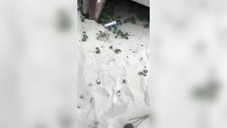 Đánh ghen xé quần áo lộ hàng vú to