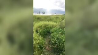 bé học sinh mới lớn bú cu cho bạn ở ngoài đồng