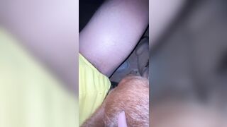 Thú cưng 19