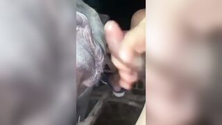 Lại là trâu bò húc nhau
