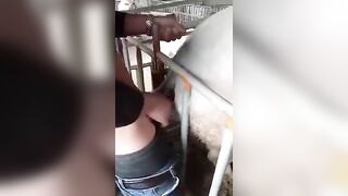 Cứ bằm im mà hưởng thụ