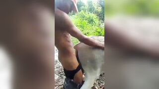 Mẹ bắt đi chăn bò và cái kết