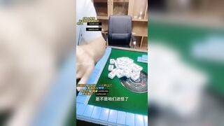 Chơi thua cởi quần áo bị địt cho tê lồn vú to lồn ngon rên la dâm đãng bắn tinh đầyồn