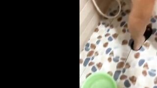 Massage dịch vụ tận nhà, tắm cho chồng khách coi rồi địt luôn cả chồng khách