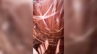 DOGGY EM VK 2K10 TỪ NGOÀI RA BAN CÔNG