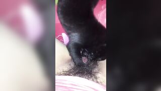 Em gái mới lớn ở nhà một mình nứng lồn quá bắt chó lại cho liếm lồn cho bớt ngứa lồn