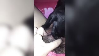 Em gái mới lớn ở nhà một mình nứng lồn quá bắt chó lại cho liếm lồn cho bớt ngứa lồn