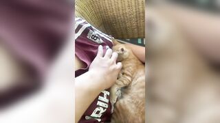 Em gái của năm
