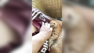 Em gái của năm