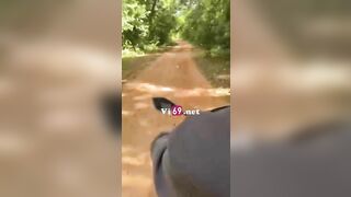 EM VK TÔI BỊ THẰNG GIÀ U 55 ĐƯA VÀO RỪNG ĐỊT RỒI GỬI CLIP CHO GIA ĐÌNH