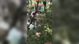 quay lén 2 em học sinh nđang dogy trong bụi