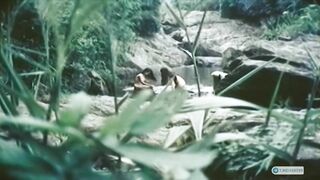 một chấm