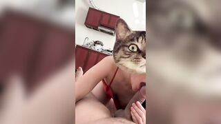 A grab ơi chạy nhanh nhanh đi sang nhà e rau ăn cơm rồi còn địt nhanh k bố e về