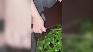 Em nghệ vắt tinh cho ny uống