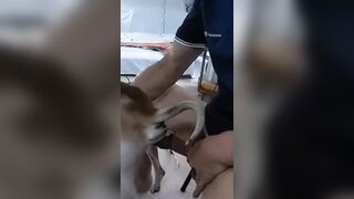 Người nhỏ mà lozzz to. Chịt em rên sung sướng