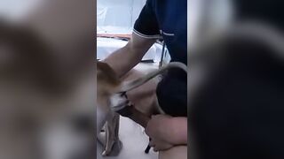 Người nhỏ mà lozzz to. Chịt em rên sung sướng
