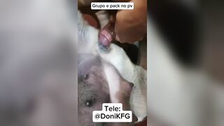 Nghe cải lương và chịt chó