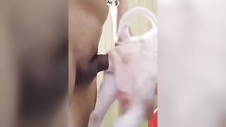 Da trắng nõn nà. Chịt em ngập lozzz