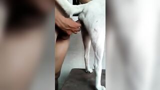 Quần đùi b đội. Hàng V N chất lượng cao. Không xem hơi phí