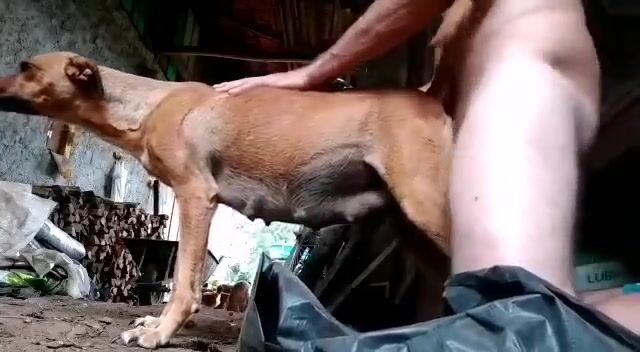 Bầu bi sắp đẻ mà nó cũng không tha