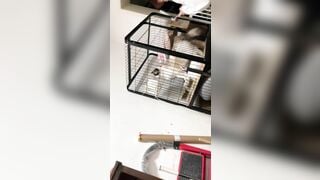 chăn rau học sinh lớp 10 dáng người nhỏ nhắn dễ thương phần 4