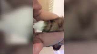 Em gái chuppy bị bạn trai bắn tinh vào lỗ đít