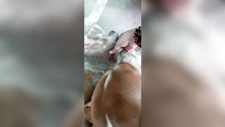 Cho nứng rồi dụ vô toilet