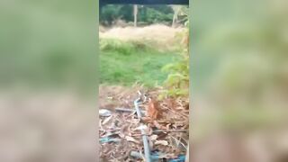 Đưa bé e họ lồn múp lên căn chòi trên núi đè ra bú lồn sáng sớm siêu nhiều nước