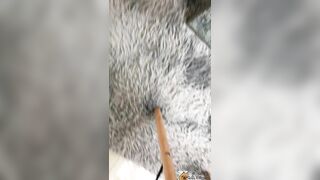 em sinh viên mình dây khoe dáng cực đẹp ae húp đi