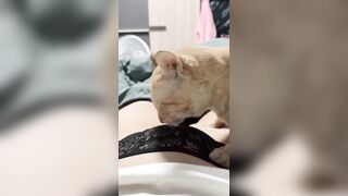 con mèo này hư quá :"(