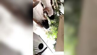 Quay lén gái xinh đag chụp ảnh