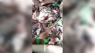 Phá Trinh Bé Gái *** Cực Độc