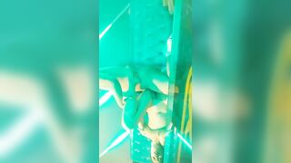 Đại gia 1 mình vào Karaoke k phải để hát mà chủ yếu vào dập nát lồn bé nhân viên xinh