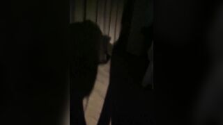Sex chiếu bóng, bú cu cực dâm