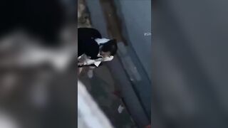 Thấy em Ly k5 mặc đồng phục lọt khe là đè ra chịch nát lồn ngay cầu thang