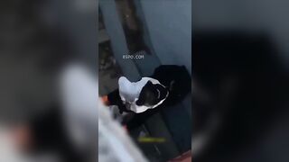 Thấy em Ly k5 mặc đồng phục lọt khe là đè ra chịch nát lồn ngay cầu thang
