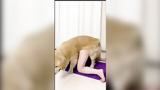 Chị gái làm tình với chó