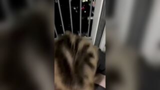 Nửa đêm, Thất tình, Gạ con bạn Vú Hồng Bú Cu Nuốt Tinh Trùng quay video mà ko cho djt