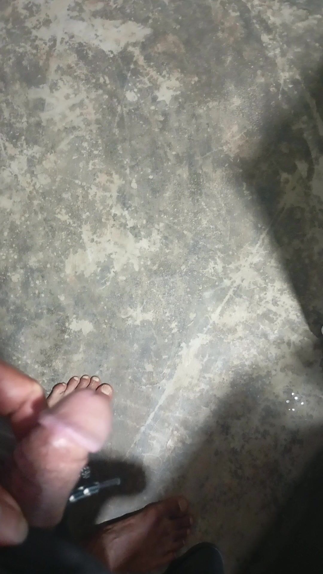 Cu nhỏ 5