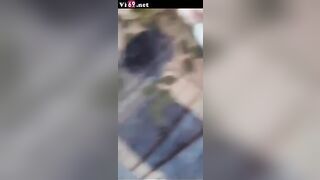 video 5