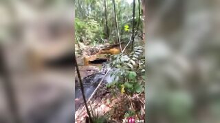 Đi du lịch Phú Quốc dẫn em vào rừng kéo váy em chịch public luôn ở đó
