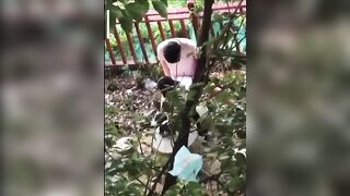 Học sinh 16 tuổi lên ra sau trường cho bạn trai doggy địt nhau như khỉ ngoài vườn