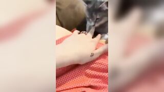 Em gái nứng lồn cho mèo lím lồn luôn