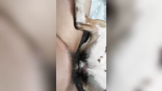 mùng một Tết xuất tinh trong lồn chó cưng