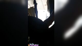 😛Một con chó1