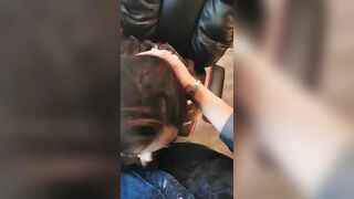 đang làm việc thì em người yêu lên cơn nứng đòi bú cu luôn