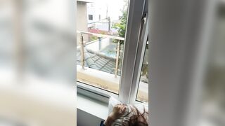 thanh niên số hưởng dẫn hai bé sgbb dâm đãng đi du lịch